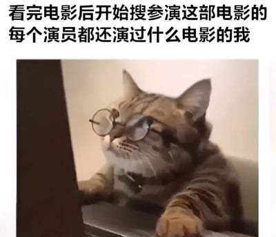一张幽默的猫咪表情包，图中一只戴着圆形眼镜的虎斑猫正专注地趴在笔记本电脑前，仿佛在认真搜索信息。图片上方配有文字：'看完电影后开始搜参演这部电影的每个演员都还演过什么电影的我'，生动形象地描绘了电影爱好者在看完一部喜欢的电影后，忍不住深入了解所有演员其他作品的常见行为，展现了一种沉浸式的观影后的延伸探索心理。