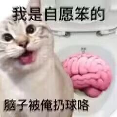 这是一张P图改编的搞笑表情包，主体是一只吐着舌头、表情搞怪滑稽的猫咪，猫咪旁的马桶内被P入一个大脑元素，图片上方配有文字“我是自愿笨的”，下方配有文字“脑子被俺扔球咯”，用夸张具象的方式表达出想要放空大脑、摆脱思考、主动“变笨”的摆烂心态，整体风格诙谐幽默，适合在日常聊天中用来抒发不想动脑、想要放松摆烂的情绪。