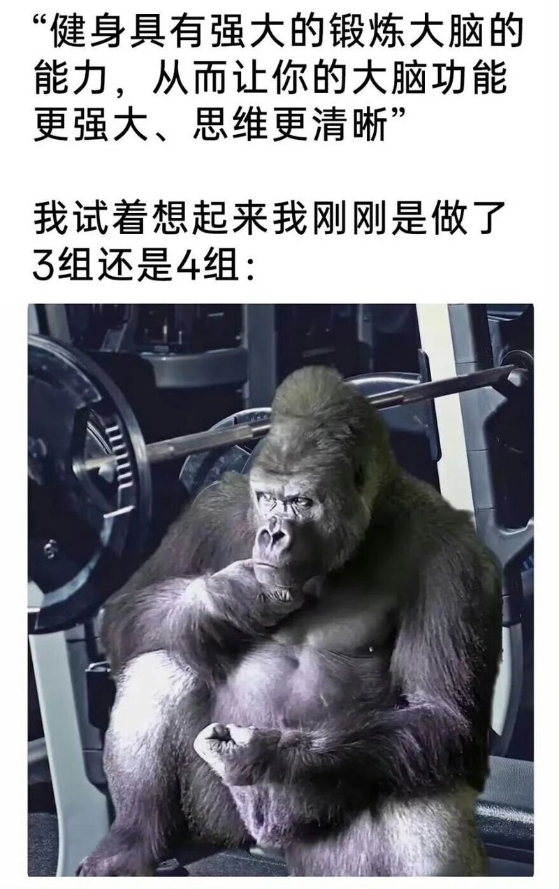 大猩猩