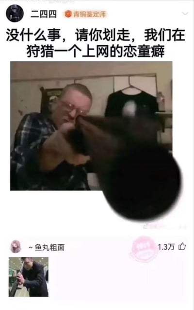这是一张社交平台的拼贴梗图，楼主发布配文「没什么事，请你划走，我们在狩猎一个上网的恋童癖」，并搭配一张外网举枪对准镜头的真人图，营造出严肃讨伐恋童癖的氛围；评论区用户「~鱼丸粗面」发布一张国内男子举枪的截图呼应楼主内容，获得1.3万点赞，整体通过夸张的持枪画面，以硬核的玩梗方式表达对恋童癖的强烈抵制与谴责，无谐音或双关梗。