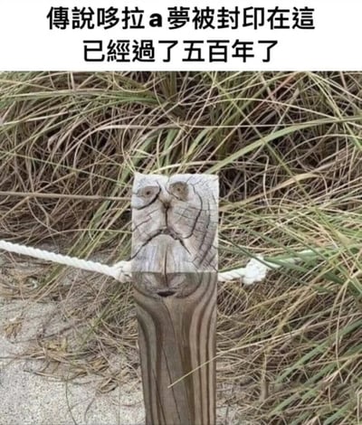 图片展示了一根木桩顶部的自然纹理和裂痕，这些纹理巧合地形成了类似哆啦A梦的面部特征。图片上方配有文字：'传说哆啦a梦被封印在这已经过了五百年了'，以幽默的方式将自然形成的纹理与卡通角色联系起来。