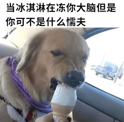 图片中是一只戴着紫色围巾的金毛犬坐在车内，正专注地舔食着一个冰淇淋甜筒。上方配有文字“当冰淇淋在冻你大脑但是你可不是什么懦夫”，幽默地将狗狗吃冰淇淋的行为拟人化，表现出一种不畏寒冷、勇敢享受美食的“硬汉”气质，整体风格轻松搞笑。