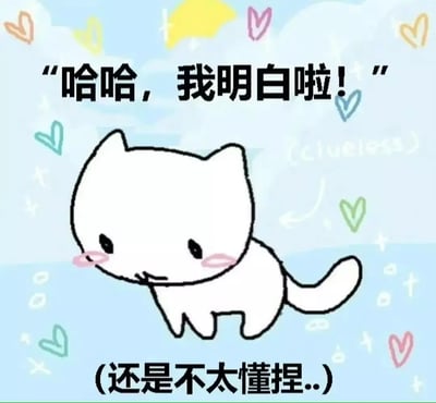这是一张手绘风格的可爱猫猫表情包。画面上的猫猫表情呆萌、困惑，面带腼腆腮红，上方大字写着“哈哈，我明白啦！”，下方小字注释“（还是不太懂捏..）”。整体语言搭配表情，形成强烈的装懂与其实还困惑的反差效果，很适合用于群聊、网络社交中回应自己“云理解”或假装懂了但其实没懂的场景，带有自嘲与幽默气息。没有明显的双关或谐音，但属于反差萌类型。