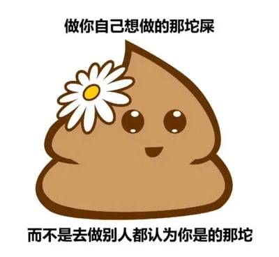 图片主体是一个卡通风格的便便形象，整体呈棕色，边缘有深棕色轮廓。便便顶部左侧戴着一朵白色雏菊，花瓣呈放射状，中心为黄色。它有着一双圆润的黑色眼睛，眼白部分明显，嘴角微微上扬，呈现出开心的表情。图片上方有文字“做你自己想做的那坨屎”，下方有文字“而不是去做别人都认为你是的那坨”。通过将可爱的卡通形象与通俗直白的文字结合，以幽默诙谐的方式传达出“坚持自我，不被他人定义”的积极主题，形成一种反差萌的搞笑效果。