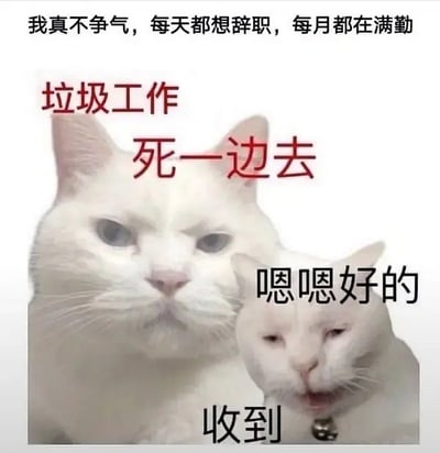 这张图片用了一只狗狗的形象，配合幽默的文字表达打工人在垃圾工作中反复内耗、总想辞职却舍不得每月工资的无奈心理，非常贴合年轻人在职场焦虑、社畜生活中的心声。图中“垃圾工作”和“舍不得工资”用鲜明对比制造笑点，简洁直接，非常适合作为社交网络吐槽内容。整体风格自嘲，有一点无奈的黑色幽默。没有明显双关和谐音梗，但“垃圾工作收垃圾的钱”有一种文字反讽和生活对比的暗示意味。
