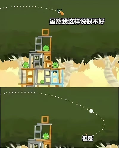 这是一张基于《愤怒的小鸟》游戏改编的双 panel 梗图。上半部分显示一只黄色小鸟正飞向由积木搭建的结构，结构中有三只绿色小猪，上方配有文字"虽然我这样说很不好"。下半部分显示小鸟已经撞击到结构，文字变为"但是"，形成一种欲言又止、引人遐想的转折效果。