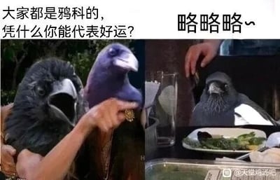 这是一张左右对比的多图拼接P图，左侧画面中一只乌鸦被人手抓住，它大张着嘴，配文“大家都是鸦科的，凭什么你能代表好运？”，表达出对同为鸦科的喜鹊被大众视为好运象征的不满情绪；右侧画面中一只乌鸦站在摆放着餐盘的餐桌旁，配文“略略略~”，神态调皮得意，仿佛在用闯入餐桌搞破坏的行为来宣泄这种“不公平”的情绪。图片利用了大众文化中乌鸦与喜鹊的不同刻板印象，通过幽默的对比和玩梗制造反差笑点。