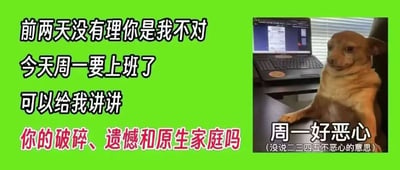 图片左侧为绿色背景，上方有白色文字'前两天没有理你是我不对 今天周一要上班了 可以给我讲讲'，下方红色文字'你的破碎、遗憾和原生家庭吗'；右侧是一只狗坐在笔记本电脑前的照片，狗的旁边有文字'周一好恶心 (没说二三四五不恶心的意思)'。整体通过幽默方式表达周一上班的不情愿，以及用倾听他人负面话题来打发上班时间的调侃。