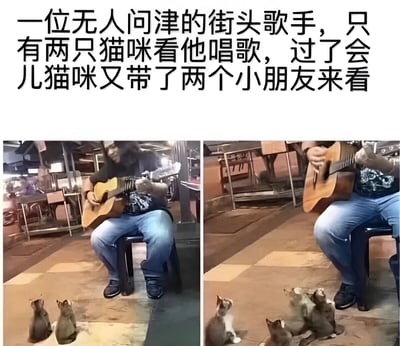 图片分为左右两部分，展示了一位街头歌手的表演场景。左边的图中，歌手坐在小凳子上弹吉他，面前只有两只小猫在认真聆听；右边的图中，原本的两只猫又带来了更多同伴，形成了一群猫咪观众围观听歌的有趣画面。整个场景充满了温馨治愈的氛围，展现了即使无人问津，也能吸引动物听众的独特魅力。