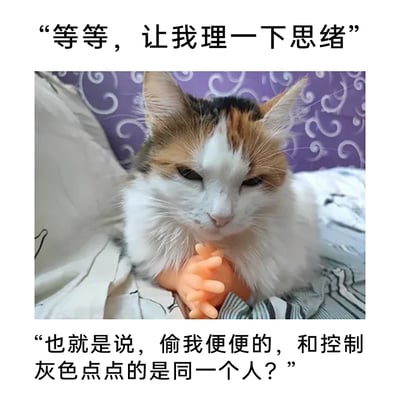 这是一张充满趣味的原创萌宠梗图，主体是一只白棕黑三色的猫咪，它眉头微蹙、眼神低垂，抱着一个仿真人类小假手，模仿人类托腮沉思的姿态。图片上方配文“等等，让我理一下思绪”，下方配文“也就是说，偷我便便的，和控制灰色点点的是同一个人？”，将猫咪完全拟人化，让它化身侦探，严肃思考自己生活里的“离奇事件”，用无厘头的脑洞和可爱的画面结合，营造出轻松搞笑的效果，很适合用来表达自己理清复杂事情时的状态。