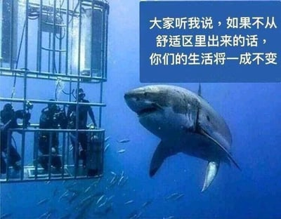 这是一张顶配底文的静态梗图，画面呈现深海场景：左侧的金属防鲨笼里有数名身着专业潜水装备的潜水员，他们待在笼内，处于相对安全的环境中；画面右侧是一头嘴巴微张、神态极具攻击性的大白鲨，正朝着防鲨笼的方向游动。图片右上角的蓝色文字框内配有文字：“大家听我说，如果不从舒适区里出来的话，你们的生活将一成不变”。这张图运用反讽的手法，调侃了当下流行的“跳出舒适区”励志鸡汤论调，暗示盲目跳出所谓的“舒适区”可能会遭遇未知的危险，而待在“舒适区”反而能保障自身安全，以此吐槽不切实际的励志言论。