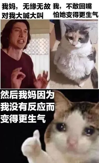 这张 meme 通过三部分图像和文字组合，幽默呈现亲子间的典型冲突场景：上方左侧愤怒的男性形象代表妈妈无缘无故大喊大叫，右侧谨慎站立的猫代表孩子因害怕不敢回嘴；下方困惑摊手的猫则表现妈妈因孩子无反应而更生气的连锁反应。整体画面生动有趣，精准捕捉了家庭中这种无奈又好笑的互动瞬间。