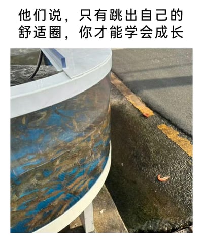 暂无描述