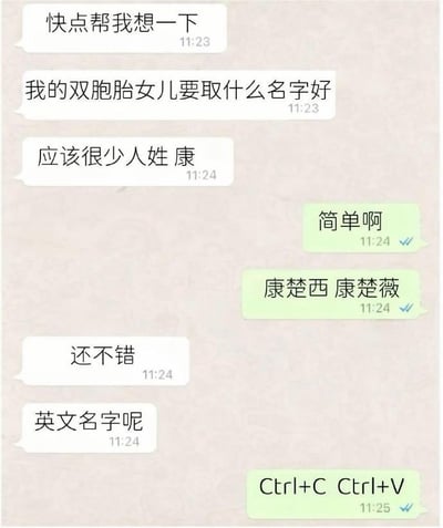 这是一段模拟微信聊天界面的搞笑梗图，对话中一方求助为姓康的双胞胎女儿起名，另一方先给出中文名“康楚西、康楚薇”，在被询问英文名时，给出“Ctrl+C、Ctrl+V”，玩了谐音梗，将中文名与电脑复制粘贴的快捷键对应，反差感十足，充满趣味。
谐音梗说明：“康楚西”谐音“Ctrl+C”，“康楚薇”谐音“Ctrl+V”，用常见的电脑操作快捷键作为英文名，创意搞笑。