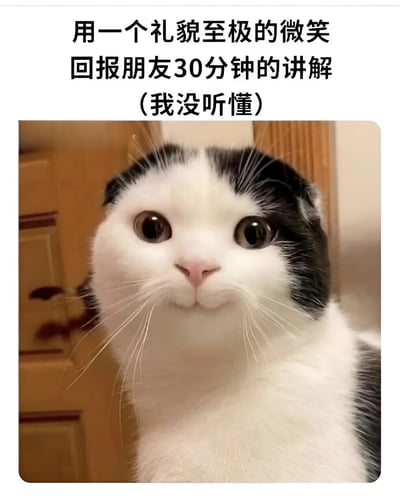 这是一张网络流行的表情包，图片主体是一只黑白相间的猫，它睁着大眼睛，露出礼貌而略带僵硬的微笑表情。图片上方配有文字：'用一个礼貌至极的微笑回报朋友30分钟的讲解（我没听懂）'，幽默地表达了在社交场合中虽然没听懂对方的话但仍保持礼貌回应的尴尬处境。