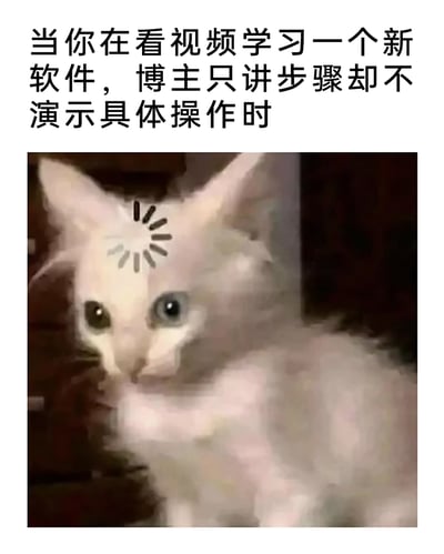 这是一张用于吐槽学习新软件时遇到敷衍教学的表情包，上方配有文字“当你在看视频学习一个新软件，博主只讲步骤却不演示具体操作时”，下方是一只白色异瞳猫咪，它的表情困惑又茫然，头顶被P上了类似系统加载的转圈图标，精准地还原了学习者在这种情况下，听得一头雾水、摸不着头脑，既困惑又略带烦躁的情绪，非常贴合人们在学习新软件时遇到不直观、不落地教学的崩溃心境，容易引发同类学习者的共鸣。