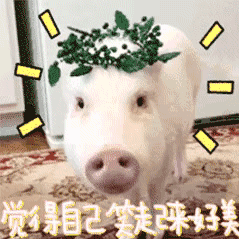 戴绿叶皇冠的猪觉得自己笑起来很美
