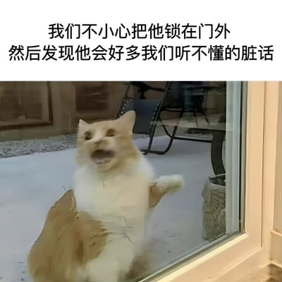 图片上方配有文字“我们不小心把他锁在门外 然后发现他会好多我们听不懂的脏话”，下方是一只橘白相间的猫正扒着玻璃门，嘴巴大张，表情愤怒，仿佛在疯狂喊叫。整体通过拟人化手法，将猫咪被锁门外的焦躁反应幽默地描述为“说听不懂的脏话”，营造出搞笑有趣的氛围。