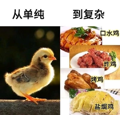 这是一张左右对比的多图拼接文字加注图，整体采用左右分栏的布局。左侧是一张真实拍摄的幼鸡照片，一只黄褐相间的幼鸡单脚站立在石质台面上，眼神懵懂，神态单纯，上方配有黑色文字“从单纯”；右侧是四张不同的鸡肉料理图片，从上到下依次是色泽红润的口水鸡、外酥里嫩的炸鸡、表皮焦香的烤鸡、肉质鲜白的盐焗鸡，每张料理图的右侧都配有对应的名称标注，右侧区域的上方配有黑色文字“到复杂”。图片用幼鸡代表初始单纯的状态，用被做成多种复杂料理的鸡肉代表经历变化后的“复杂”状态，以拟人化的趣味方式调侃人从懵懂单纯的阶段，在经历社会历练后变得“复杂”的成长过程，用食物的反差映射人生状态的转变，容易引发网友的共鸣。
