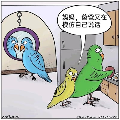 这是一幅拟人化的幽默漫画，描绘了鹦鹉家庭的日常场景：蓝色鹦鹉爸爸站在圆形镜子前，看着镜中的自己，误以为是另一只鹦鹉在模仿自己的动作；绿色鹦鹉妈妈正在厨房的台面上专注地擦拭物品；黄色的小鹦鹉站在妈妈身边，一脸认真地向妈妈告状“妈妈，爸爸又在模仿自己说话”。漫画利用鹦鹉擅长模仿的特性，结合照镜子的误会制造出荒诞又搞笑的笑点，将鹦鹉拟人化，赋予它们家庭角色和人类的日常行为，让画面充满趣味。