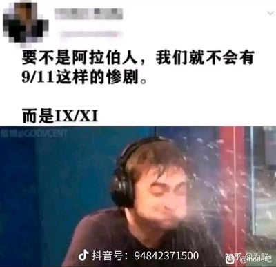 这张梗图上半部分是文字内容："要不是阿拉伯人，我们就不会有9/11这样的惨剧。而是IX/XI"，通过将"9/11"替换为罗马数字"IX/XI"制造文字游戏。下半部分是一个戴着耳机的人被水泼脸的反应画面，表情显得惊讶。