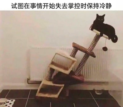 这是一张带有配文的静态实拍图，画面中原本的猫爬架已经严重倾斜、结构完全散架，下方的平台全部歪倒错位，彻底失去了原本的功能。一只黑猫却稳稳趴在猫爬架最顶端的平台上，表情平静无波，仿佛一切都在掌控之中。图片上方配有文字“试图在事情开始失去掌控时保持冷静”，通过猫爬架的失控状态与黑猫的镇定形成强烈反差，生动比喻了人们在生活、职场中面对局面逐渐失控时，强装镇定、故作冷静的状态，极易引发观者的共情。
