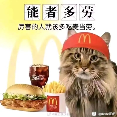 这是一张玩谐音梗的搞笑P图，将成语“能者多劳”谐音改编为“能者多吃麦当劳”，画面主体是一只戴着麦当劳红色头带的长毛猫，猫咪表情严肃直视镜头，旁边摆放着麦当劳的汉堡、可口可乐和薯条，背景带有麦当劳的经典M标志，配文“能者多劳 厉害的人就该多吃麦当劳”，用职场常见的调侃语句结合大众熟悉的快餐品牌，制造出轻松幽默的效果，既可以用来表达想吃麦当劳的心情，也能作为职场相关的搞笑梗图使用。