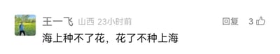 这是一张静态的社交媒体评论区截图，整体为图文混排的形式，左侧是用户王一飞的个人头像，头像中是一位站在户外草地的真人；右侧依次显示用户名称“王一飞”、地域“山西”、发布时间“23小时前”，以及评论的互动按钮“回复”和3个点赞数。下方是该用户发布的评论内容：“海上种不了花，花了不种上海”，这条评论通过将“上海”颠倒为“海上”，运用语序调换的方式制造出文字趣味，属于玩文字游戏的原创评论内容，风格轻松诙谐。