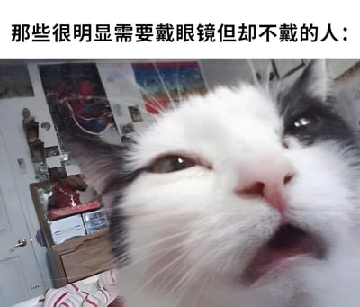 图片上方配有文字“那些很明显需要戴眼镜但却不戴的人：”，下方是一张近距离拍摄的猫脸特写。猫咪一只眼睛眯成一条缝，另一只眼睛微睁，头部微微上仰，表情仿佛在努力聚焦看清远处模糊的物体，生动模仿了视力不佳却不戴眼镜人群的状态。背景中隐约可见房间内的海报和家具，但主体完全聚焦于猫咪的迷惑眼神，通过拟人化手法制造幽默效果。