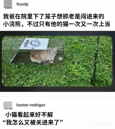 图片展示了一只猫被困在笼子陷阱中的有趣场景。上方文字说明这是爸爸为了抓闯进院子的小浣熊而设的陷阱，但结果只有他家的猫一次又一次上当。下方评论则幽默地表达了小猫的困惑：'我怎么又被关进来了'。整个图片通过猫咪无辜又困惑的表情和重复上当的情节制造出喜剧效果。