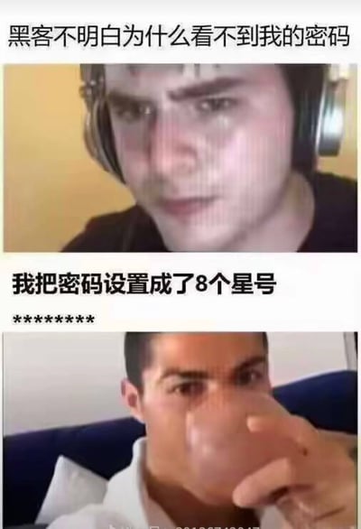 这是一个双面板的搞笑梗图，通过幽默方式调侃密码安全。上半部分显示一位戴耳机的人，配文“黑客不明白为什么看不到我的密码”；下半部分显示另一位正在喝水的人，配文“我把密码设置成了8个星号”，下方还有“********”符号。
该梗图利用了密码输入时常用星号(*)隐藏显示的特性，制造了一个文字游戏——将密码本身设置为星号，让试图窃取密码的黑客无法分辨哪些是隐藏显示的密码，哪些是实际密码。