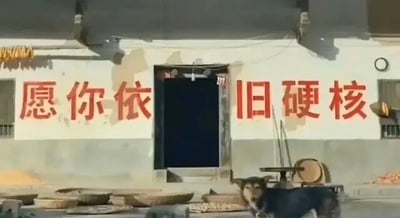 这是一张实地拍摄的静态单图，画面展现了充满生活气息的乡村农家场景。房屋的白色外墙有部分墙皮脱落，墙面上用醒目的红色大字书写着网络流行语“愿你依旧硬核”，质朴的乡村背景和新潮的网络口号形成有趣的反差。房屋门前的地面上摆放着多个竹编的晾晒器具，画面下方偏右的位置，一只黑棕相间的农家犬正站立着看向镜头，神态平静，为画面增添了生动的烟火气。