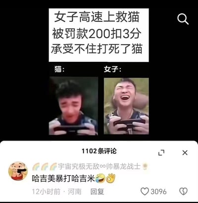 这张梗图以社会新闻为背景，上方是标题“女子高速上救猫 被罚款200扣3分 承受不住打死了猫”，下方用两张反应图形成鲜明对比：左边标注“猫：”配一张悲伤哭泣的人脸表情包，右边标注“女子：”配一张大笑的人脸表情包，形成黑色幽默效果。底部显示有1102条评论，并有一条热门评论“哈吉美暴打哈吉米😂👌”。