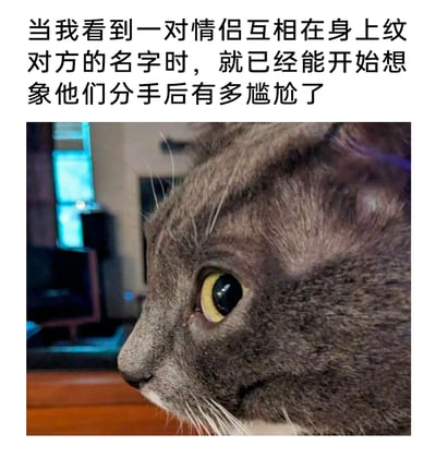 这是一张图文结合的吐槽梗图，上方配有文字：“当我看到一对情侣互相在身上纹对方的名字时，就已经能开始想象他们分手后有多尴尬了”，下方是一只灰色猫咪的侧脸特写，猫咪眼神放空，看向一侧，神态忧虑且若有所思，仿佛正在脑补情侣分手后面对身上对方名字纹身的尴尬场景。整张图用猫咪的神态精准呼应了文字里提前感受到的尴尬情绪，调侃了情侣间冲动的浪漫行为后续可能出现的尴尬处境，容易引发网友的共鸣，充满搞笑吐槽的氛围。