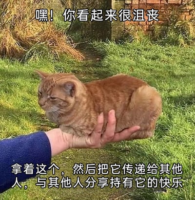 这是一张利用视觉错位制作的搞笑安慰类表情包。画面中，一只手的姿势与后方草地上的橘色猫咪完美重合，营造出“手托着小猫身体”的错觉；猫咪耷拉着眼皮，神情沮丧低落。图中配文分为上下两部分，上方以关切的语气说“嘿！你看起来很沮丧”，下方则引导“拿着这个，然后把它传递给其他人，与其他人分享持有它的快乐”，用这个看起来丧丧的“掌中猫”来安慰情绪低落的人，通过搞笑的错位反差感消解负面情绪，适合在社交平台上分享给心情不佳的好友。