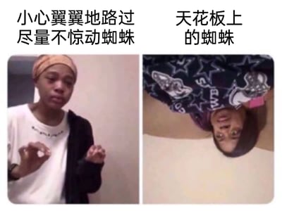 这是一张左右拼接的对比式搞笑梗图，左侧画面中，一位穿着白色内搭、黑色外套并戴着发带的人，双手做出幅度极小的小心翼翼的动作，表情紧张谨慎，配文“小心翼翼地路过尽量不惊动蜘蛛”，还原了怕蜘蛛的人在遇到蜘蛛时的谨慎状态；右侧画面则将该人物倒置，模拟出天花板上蜘蛛的视角与状态，配文“天花板上的蜘蛛”，通过拟人化的画面演绎，用夸张搞笑的方式放大了恐蛛人群面对蜘蛛时的微妙心态，制造出强烈的反差感，让日常的小恐惧变得诙谐有趣。