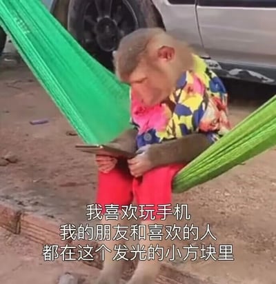 暂无描述