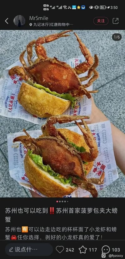 图片展示了一种猎奇美食——菠萝包夹整只大螃蟹，造型新奇甚至有些魔性。螃蟹的腿和钳子外露，好像非常“霸气”，极具视觉冲击力。这类新颖的汉堡组合让网友惊呼，既吸睛又搞笑，极易掀起讨论热潮。图片下方为小红书的配文，表示苏州本地也可以吃到这种创意美食，还带有推荐和感叹。整体画风猎奇、魔性，场景感极佳，适合吐槽与分享。没有明显双关谐音梗，有一种夸张的荒诞感。