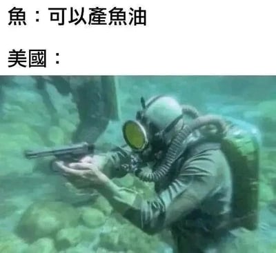这是一张图文混排的静态梗图，上方分为两行文字，第一行是“鱼：可以产鱼油”，第二行是“美国：”，下方配图是一名戴着全套潜水装备的人在水下手持手枪瞄准。图中通过文字与画面的反差制造笑点，鱼可以自然产出鱼油，而用潜水持枪的画面来对应美国获取鱼油的方式，以调侃的方式表现出强硬夺取资源的行为，属于带有讽刺意味的搞笑创作。