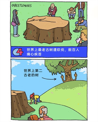 这是一幅上下分栏的原创卡通连环漫画，上半部分模拟新闻报道场景：世界上最古老的古树被砍伐后留下巨大树桩，周围的人们神情悲痛，有的低头哭泣、有的相互安慰、有的手持花束哀悼，下方新闻栏标注“世界上最老古树遭砍伐，数百人痛心疾首”，传递出人们对古树被伐的惋惜；下半部分则是反转的黑色幽默内容，画面中原本是世界第二古老的树木，此刻面带得意的笑容，树枝做出类似“比耶”的姿势，旁白标注出这棵树的身份，暗示在第一古老的树被砍伐后，它成为了新的“世界最古老树木”，通过这种反差感制造出讽刺幽默的效果。