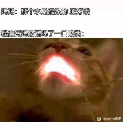 图片上半部分为两行情景文字，分别是“妈妈：那个水是温热的 正好哦”和“轻信妈妈的话喝了一口的我：”。下半部分是一张猫咪特写照片，猫咪仰头张大嘴巴，口腔内部呈现明亮的红色光芒，仿佛被高温刺激，用夸张的视觉效果幽默表现出“我”喝下妈妈所说的“温水”后实际感觉非常烫的反差反应，生动展现了家庭生活中常见的认知差异趣事。