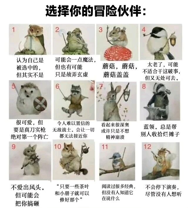 松鼠
