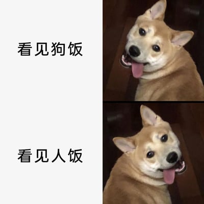 这是一张上下分栏的对比梗图，左侧对应文字，右侧是柴犬的反应：上方栏文字为“看见狗饭”，搭配的柴犬吐着舌头，头向左侧轻歪，表情相对平淡；下方栏文字为“看见人饭”，搭配的柴犬头向右侧歪，吐舌的同时眼神更显兴奋期待。图中通过狗狗面对两种食物的截然不同的反应，调侃了宠物普遍觉得人类食物比自己的食物更有吸引力的“双标”日常，内容贴近养宠人士的生活，充满趣味，容易引发共鸣。