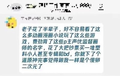 这是一张竖屏手机格式的聊天记录截图，上方的头像和昵称区域做了马赛克模糊处理。对话框内是一位资深二次元爱好者的愤怒吐槽：自己耗费半辈子深耕二次元文化，不仅大量涉猎动漫、漫画、游戏，还用心记住了声优、监督、画师、P主的名字，更是斥巨资入手手办（塑料小人）、专辑、蓝光碟（bd）等周边，结果AI仅靠简单生成就能模仿二次元风格，让自己觉得此前的全身心投入像个笑话，字里行间满是愤懑与无奈。
