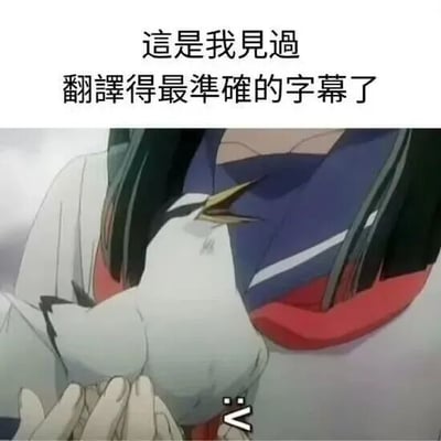 图片上方有文字“這是我見過翻譯得最準確的字幕了”，下方为动漫截图，画面中一位身着传统服饰、留有黑色长发的女性角色正双手捧着一只白色小鸟，小鸟的黄色喙部靠近角色胸前，鸟嘴附近有类似字幕符号“::”。整体通过图文结合形成对“准确翻译”的幽默调侃。