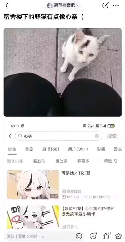 这是一张来自百度贴吧“碧蓝档案吧”的拼接内容截图，分为上下两个部分：上半部分是实拍场景，一只白身额头带黑毛的野猫蹲坐在室外地面，抬头看向镜头，画面下方能看到拍摄者的黑色裤腿，上方配帖文标题“宿舍楼下的野猫有点像心奈（”；下半部分是哔哩哔哩平台搜索“心奈”的结果页面，展示了两条与手游《碧蓝档案》角色心奈（奥空绫音）相关的视频，分别是播放量168.5万、标题为“可是她才11岁耶”的视频，以及标题为“【碧蓝档案】心奈酱的各种究极无敌可爱小动作”的视频。通过对比可见，野猫额头的黑毛位置与心奈标志性的白头发黑刘海造型高度相似，形成趣味撞脸的效果。页面底部还有贴吧的文明发帖提示语“发帖千百度 文明第一步”。