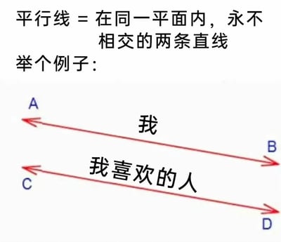 这是一张幽默梗图，通过数学概念来比喻情感关系。图片上方先给出平行线的定义：'在同一平面内，永不相交的两条直线'，然后标注'举个例子'。下方绘制了两条红色的平行直线，上面一条标注为'我'，下面一条标注为'我喜欢的人'，用数学概念形象地表达了单恋中两人关系如同平行线般永不相交的无奈现实。