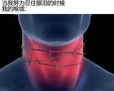 这是一张用于共情情绪体验的网络梗图，顶部配有文字“当我努力忍住眼泪的时候我的喉咙：”，下方是3D渲染的人体颈部画面：颈部被两道带刺的铁丝网紧紧缠绕，喉咙区域呈现出泛红的状态。该图用极具冲击力的视觉画面，比喻人们强忍泪水、压抑情绪时，喉咙产生的发紧、刺痛、喘不过气的生理感受，精准戳中人们在情绪压抑时的真实体验，引发广泛的情绪共鸣。