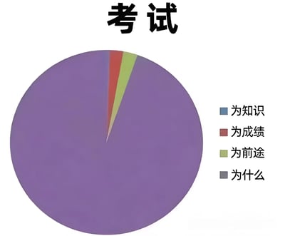 一张标题为“考试”的趣味饼图，用夸张比例展示学生对考试目的的认知：紫色的“为什么”占据绝大部分面积，而代表“为知识”（蓝色）、“为成绩”（红色）、“为前途”（绿色）的扇区仅占极小部分，幽默地反映出学生对考试意义的迷茫心态。