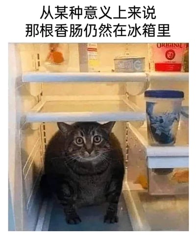 这是一张充满脑洞的搞笑静态图，画面主体是一只圆滚滚的狸花猫，它蜷缩着身体挤在冰箱的下层储物空间里，睁着圆溜溜的大眼睛，表情既惊讶又带着心虚感。冰箱内的其他层架大多空置，右侧搁架上摆放着几个容器。图片上方配有文字“从某种意义上来说 那根香肠仍然在冰箱里”，通过荒诞的逻辑制造笑点：暗示猫咪吃掉了原本在冰箱里的香肠，现在猫咪待在冰箱中，相当于香肠也“还在冰箱里”，用这种无厘头的方式调侃猫咪贪吃的行为。